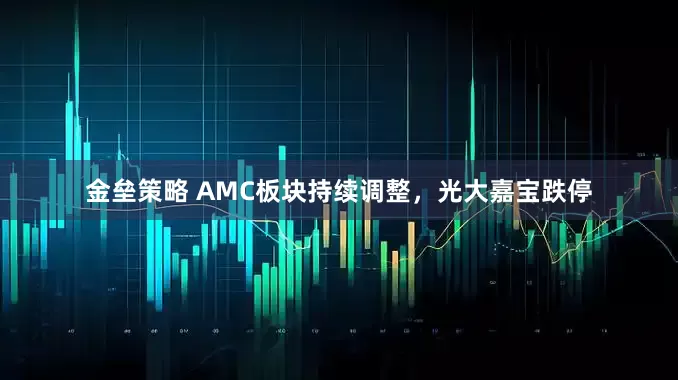 金垒策略 AMC板块持续调整，光大嘉宝跌停