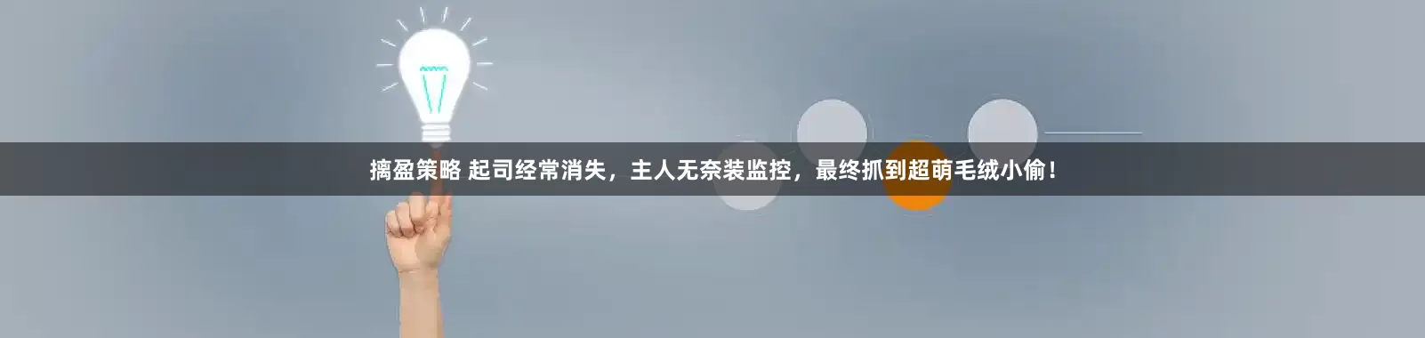 摛盈策略 起司经常消失，主人无奈装监控，最终抓到超萌毛绒小偷！